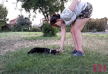 Como enseñar a tu perro a tumbarse