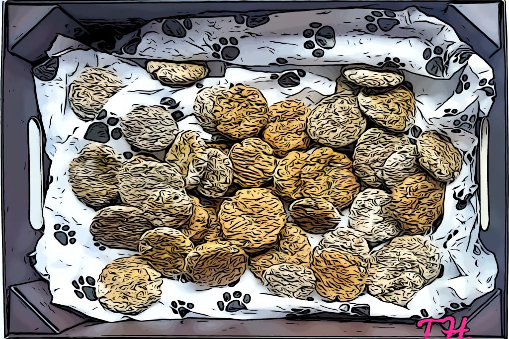 Galletas de Quinoa y Espinacas para perros Teckelhours